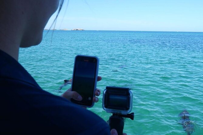 Dolphin, Sea Lion and Penguin Island Cruise - The glass-bottom boat question: fun idea, mixed results