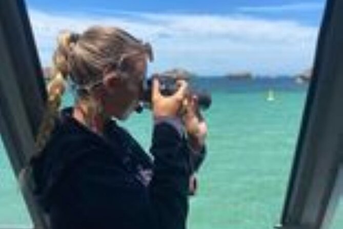 Dolphin, Sea Lion and Penguin Island Cruise - Who should book this cruise (and who might be disappointed)