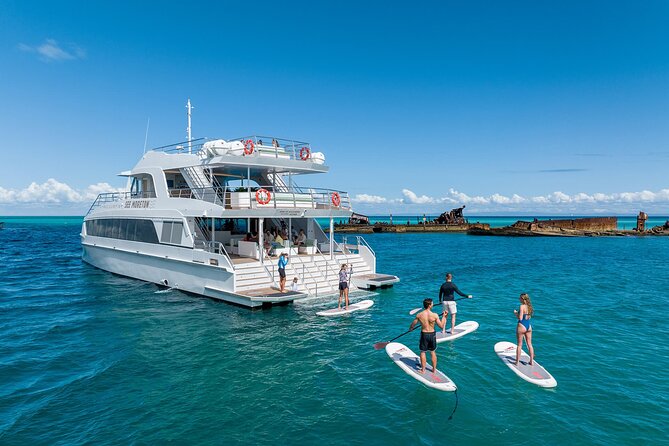 Dolphin & Tangalooma Wrecks Snorkel Cruise & Lunch - Brisbane - Tangalooma Wrecks snorkelling: what you’ll actually do in the water