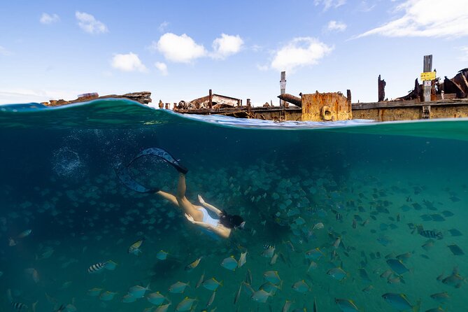 Dolphin & Tangalooma Wrecks Snorkel Cruise & Lunch - Gold Coast - Lunch On Board And The Small Comforts That Matter