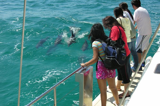 Dolphin Watch + Sailing - Port Stephens - Key highlights at a glance
