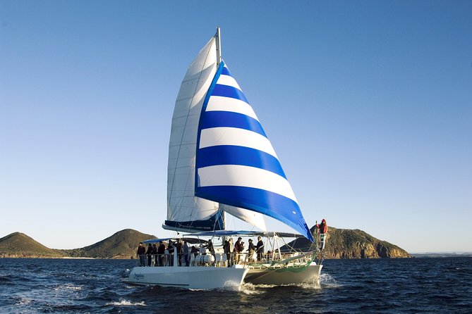 Dolphin Watch + Sailing - Port Stephens - Dry bow-net vs wet boom-net: pick your comfort (and your photos)