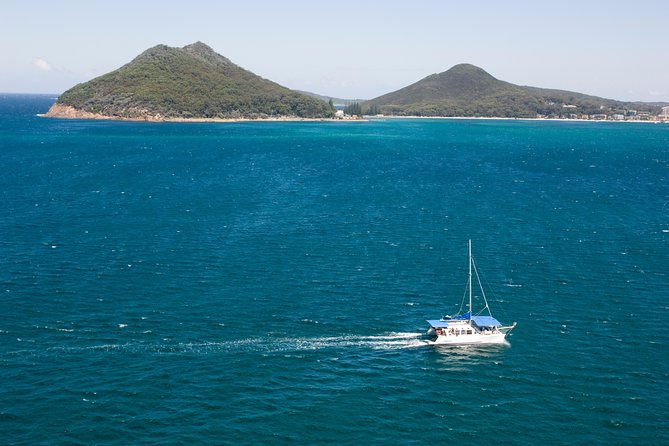 Dolphin Watch + Sailing - Port Stephens - Price and value: is $35.86 actually a good deal?