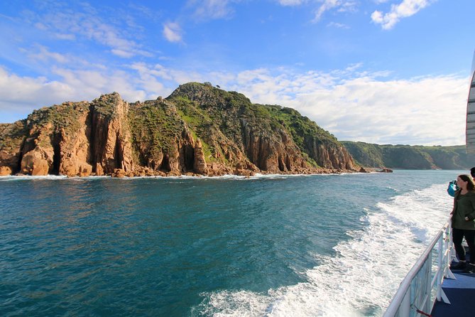 Dolphin & Whale Cruise - Weather and seasickness: the real decision point