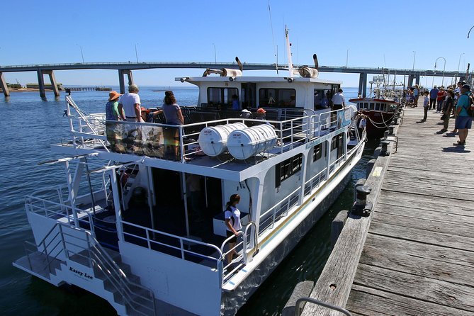 Dolphin & Whale Cruise - Cape Woolamai stops: the quick quarry visit that adds context
