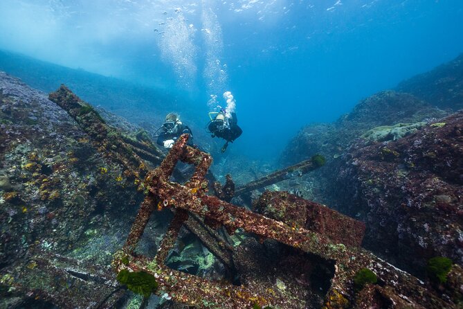 Double Dive to South Solitary Island Coffs Harbour - South Solitary Island’s marine park is the real star