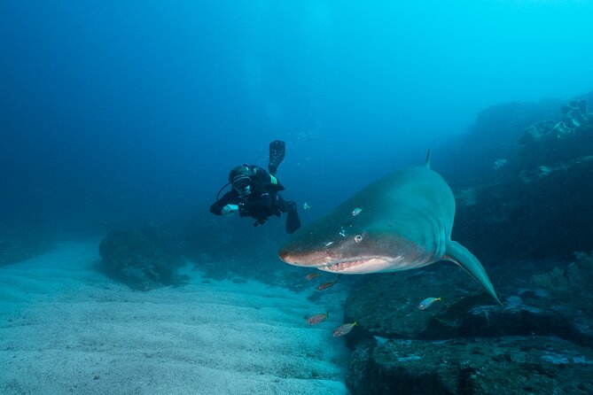 Double Dive to South Solitary Island Coffs Harbour - Two guided underwater sessions, one long surface interval