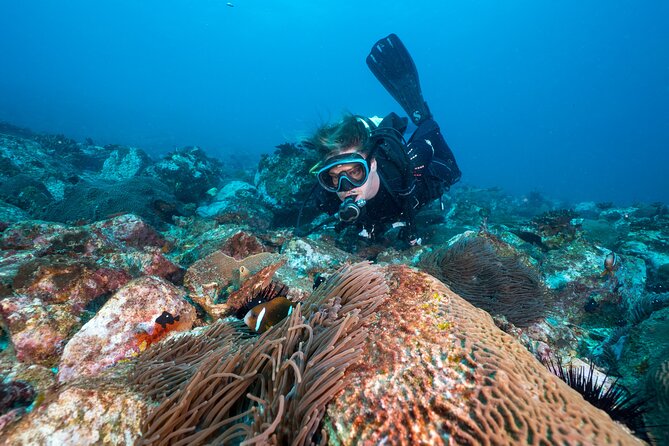 Double Dive to South Solitary Island Coffs Harbour - The morning run: meet at 7:30am and get to the island fast