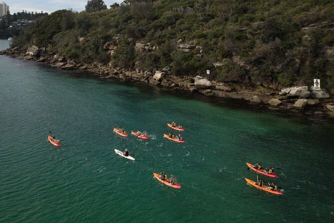 Double Kayak Hire - 4 Hours - Secret Beaches and Scenic Waterways: What Makes It Worth It