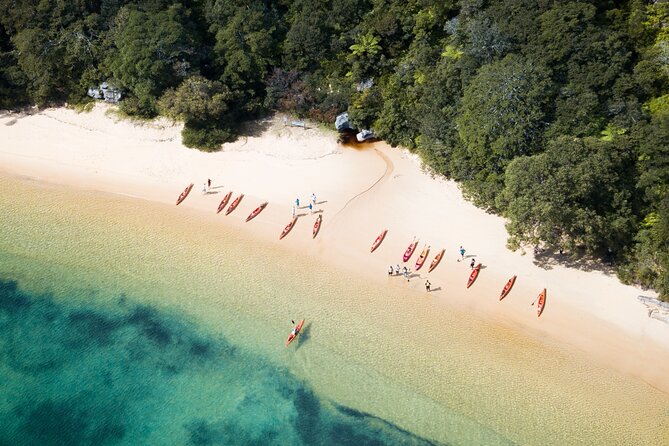 Double Kayak Hire - 4 Hours - 4 Hours on Sydney’s North Harbour: How to Think About Your Route