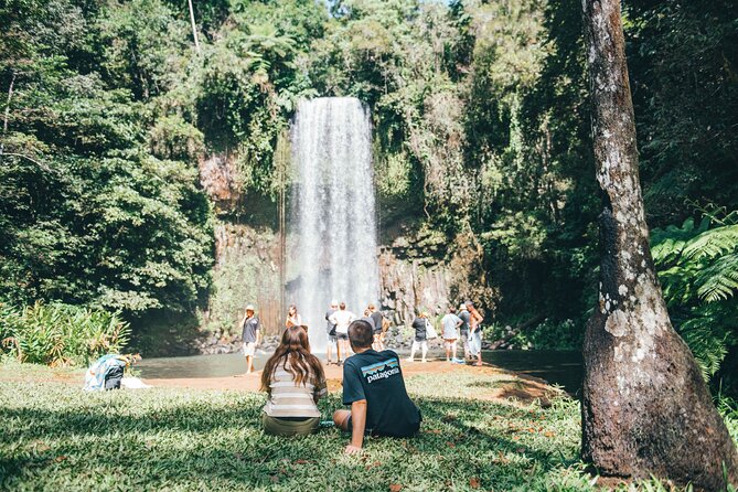 Double Pack-Ancient Rainforest and Waterfalls! - Key highlights at a glance