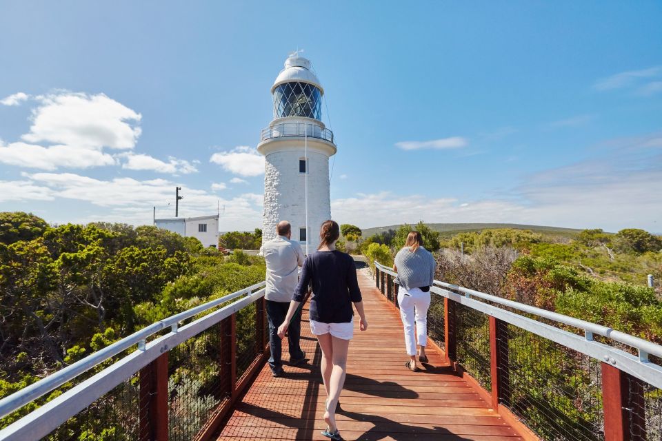 Dunsborough: Cape Naturaliste Lighthouse Guided Tour - How the guide turns a short tour into a coherent story