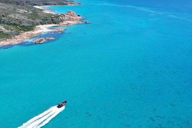 Dunsborough Eco and Snorkel Boat Tour - Why Geographe Bay by boat feels like a shortcut to the real coast