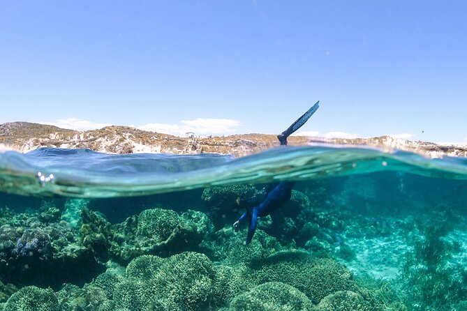 Dunsborough Eco and Snorkel Boat Tour - Eagle Bay swim or snorkel: optional, clear-water fun