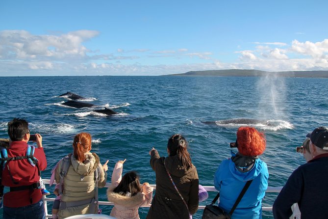 Dunsborough Whale Watching Eco Tour - Key highlights worth planning around