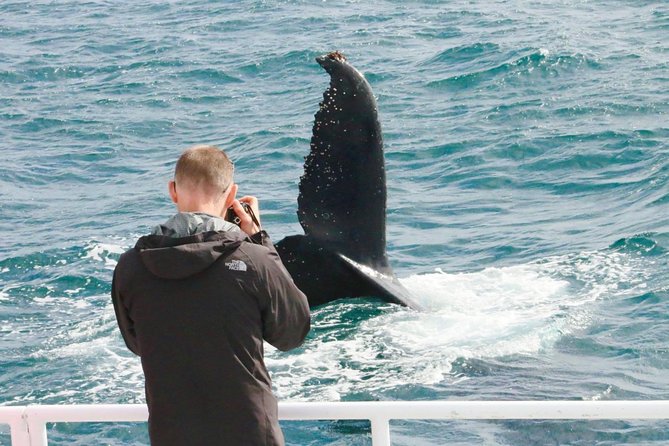 Dunsborough Whale Watching Eco Tour - Tea, coffee, and biscuits: small comfort that matters