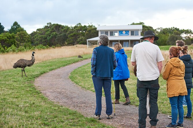 Dusk Discovery Tour - Key highlights worth planning around