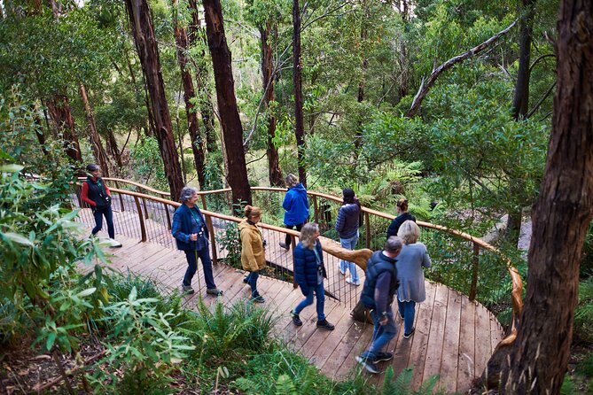 Dusk Discovery Tour - Why dusk is the right time on the Great Ocean Road