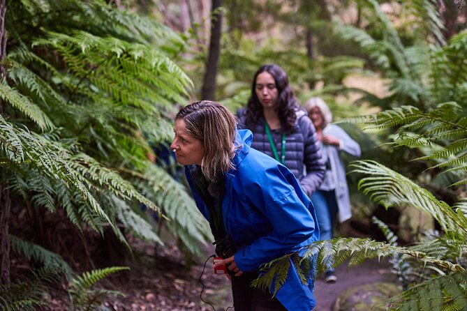 Dusk Discovery Tour - Price and value: is $68.14 a fair deal?
