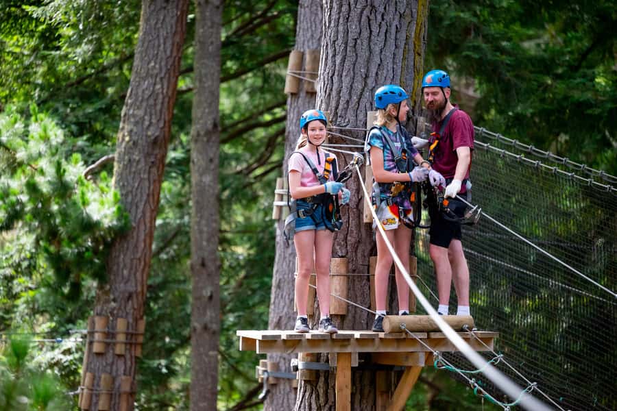 Dwellingup: Tree Ropes Course - Dwellingup Treetops: what makes this ropes course worth your time