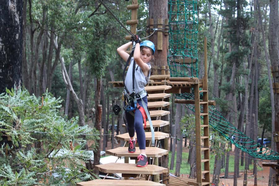 Dwellingup: Tree Ropes Course - Before you go high: waivers, shoes, and safety training that actually matters