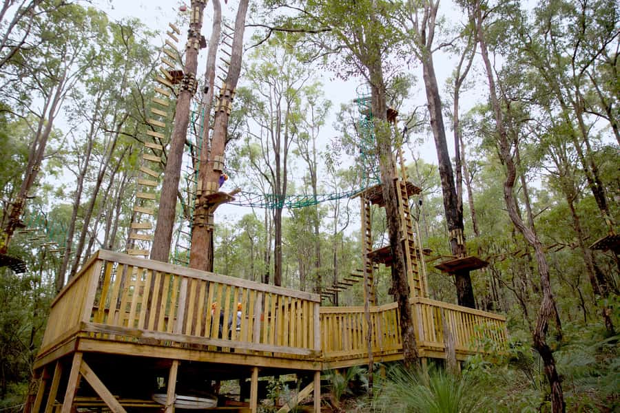 Dwellingup: Tree Ropes Course - Coaching you can feel: Em, Tom, Ellen and the focus on confidence
