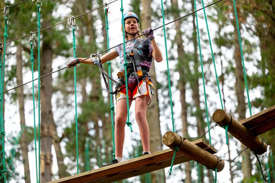 Dwellingup: Tree Ropes Course - Should you book Dwellingup Tree Ropes Course?