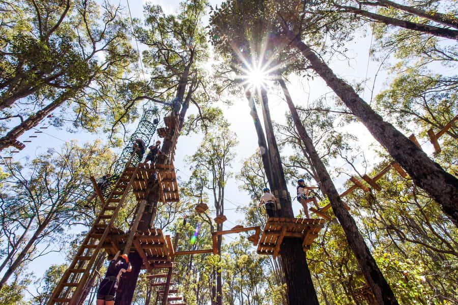 Dwellingup: Tree Ropes Course - The course itself: 6–16m heights, 23 ziplines, and 80+ challenges