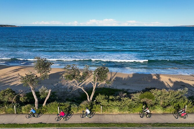 E-Bike Hire & Mountain Bike Hire Port of Eden - Price and value: what $43.03 buys you in Eden