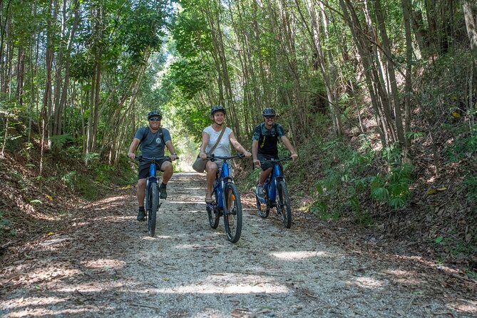 E-Bike Hire Northern Rivers Rail Trail, with Return Transport - Getting to the ride: pickup, Murwillumbah Railway Station, and your “start line”