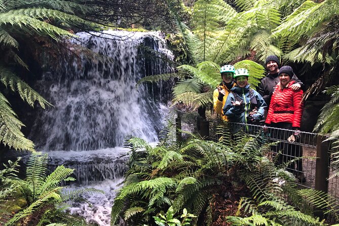 Easy Bike Tour - Mt Wellington Summit Descent & Rainforest Ride - Key things I’d circle on your radar