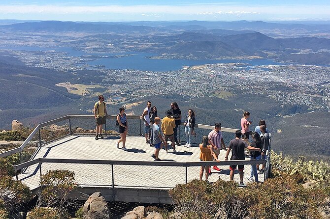 Easy Bike Tour - Mt Wellington Summit Descent & Rainforest Ride - South Hobart meeting point: what happens before you ride