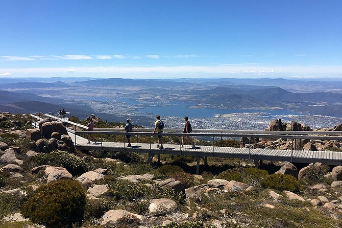 Easy Bike Tour - Mt Wellington Summit Descent & Rainforest Ride - Rainforest ride on compact dirt: what the trail is like
