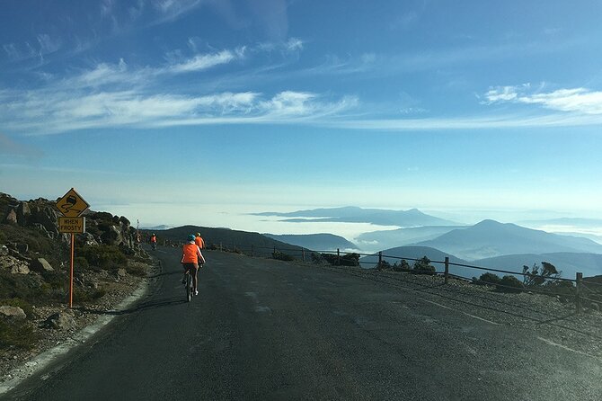 Easy Bike Tour - Mt Wellington Summit Descent & Rainforest Ride - Guides, group control, and going at your pace