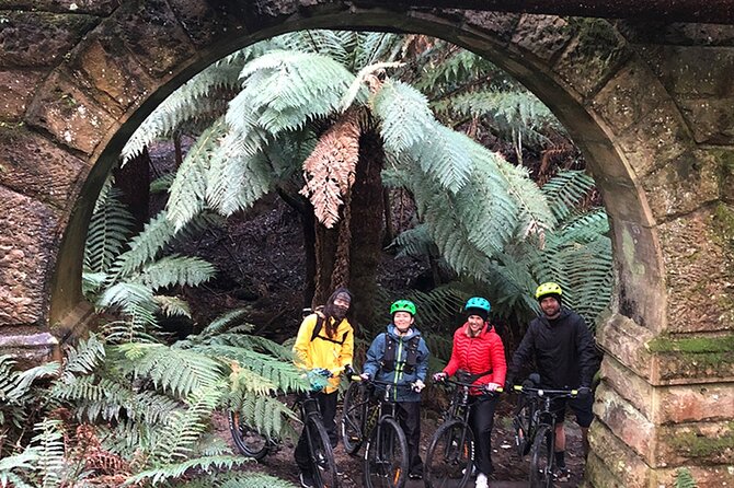 Easy Bike Tour - Mt Wellington Summit Descent & Rainforest Ride - What to wear for Mt Wellington wind chill
