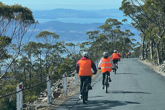 Easy Bike Tour - Mt Wellington Summit Descent & Rainforest Ride - How good value feels here (and what it doesn’t include)