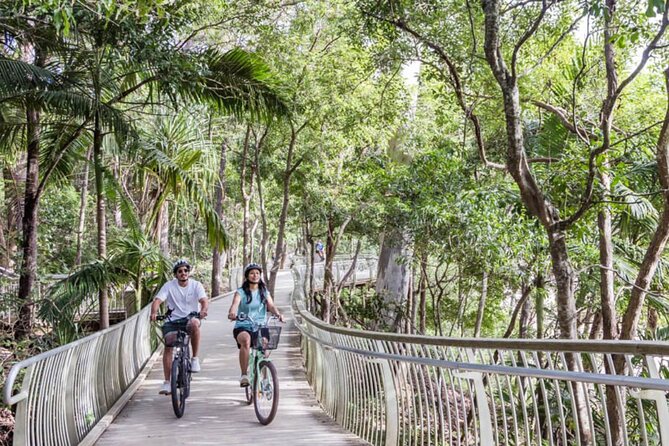 eBike Noosa Sightseeing Tour - New! - Lake Weyba: mangroves, wildlife, and a calmer finish