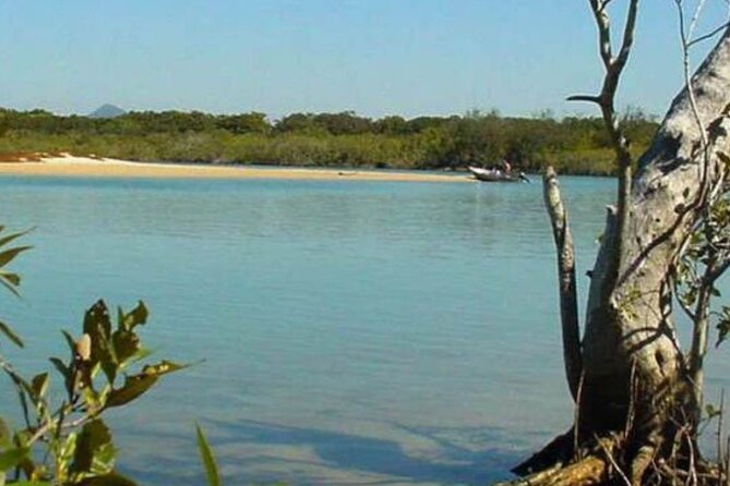 eBike Noosa Sightseeing Tour - New! - Price and value: what $100.41 buys you in real terms