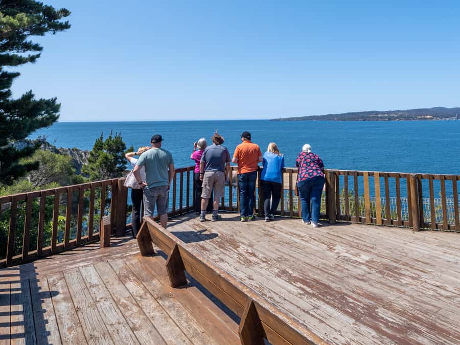 Eden: 2-Hour Highlights Tour, Nature, Beaches and Lookouts - Key Things That Make This Tour Worth Your Time