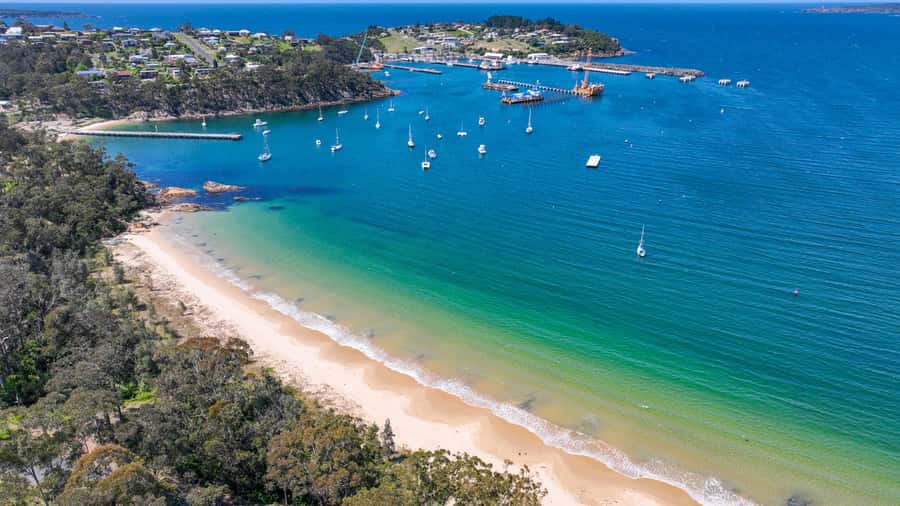 Eden: 2-Hour Highlights Tour, Nature, Beaches and Lookouts - A Quick Eden Fix From the Port