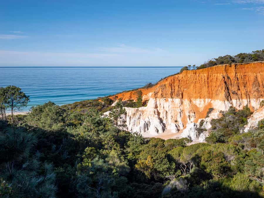 Eden: 2-Hour Highlights Tour, Nature, Beaches and Lookouts - Stop 1: Eden Rotary Park and Twofold Bay Wildlife