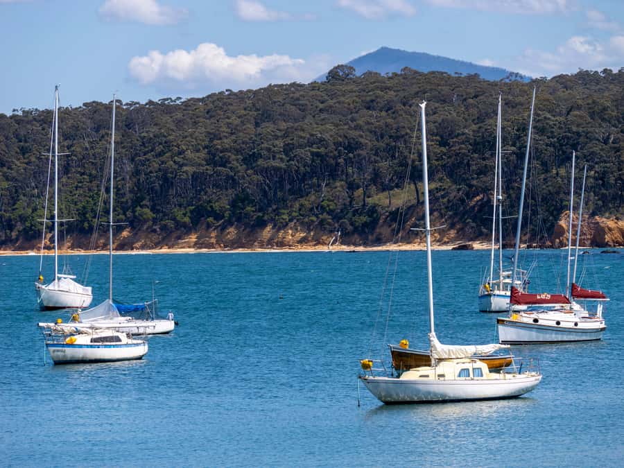 Eden: 2-Hour Highlights Tour, Nature, Beaches and Lookouts - Stop 5: Quarantine Bay for Maritime Stories and Quiet Nature