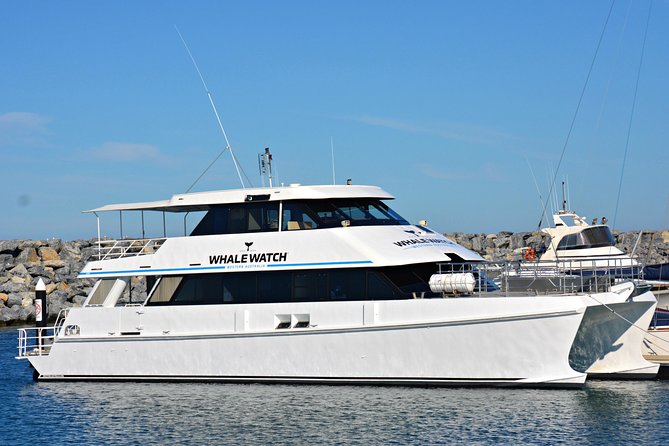 Educational Whale Watching Tour from Perth - Key things that make this tour special