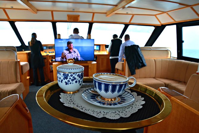 Educational Whale Watching Tour from Perth - What the naturalist commentary actually does for you