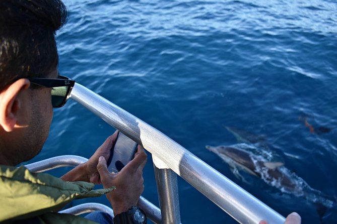 Educational Whale Watching Tour from Perth - Wildlife spotting: what you’re likely to see (and when)