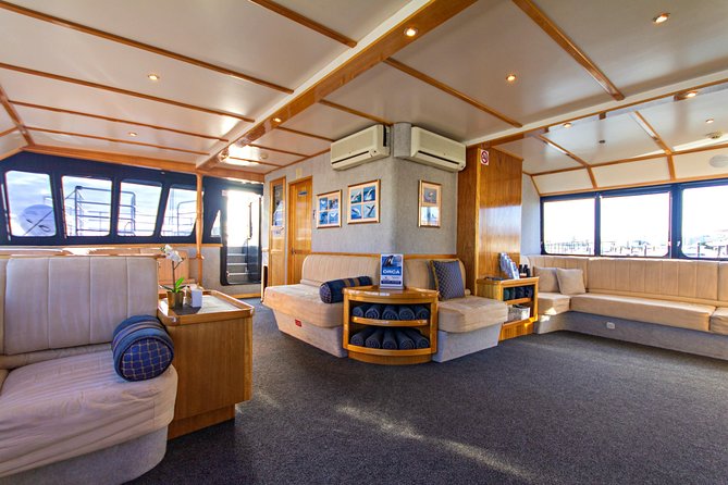 Educational Whale Watching Tour from Perth - Weather reality check: cold wind, rough water, and seasickness