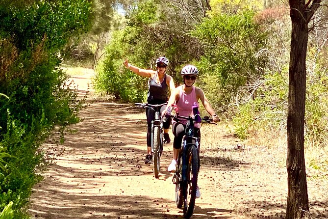 Electric Mountain Bikes Rental in Port Lincoln - The bike setup: Cube Reaction Hybrid Pro 500 e-MTBs