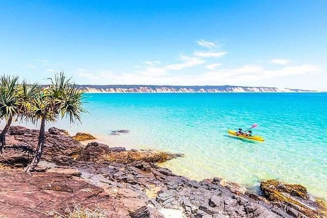 Epic Kayak With Dolphins & Wildlife - 4WD Beach Adventure Noosa - Double Island Point kayaking: instruction, wildlife hunting, and real ocean paddling