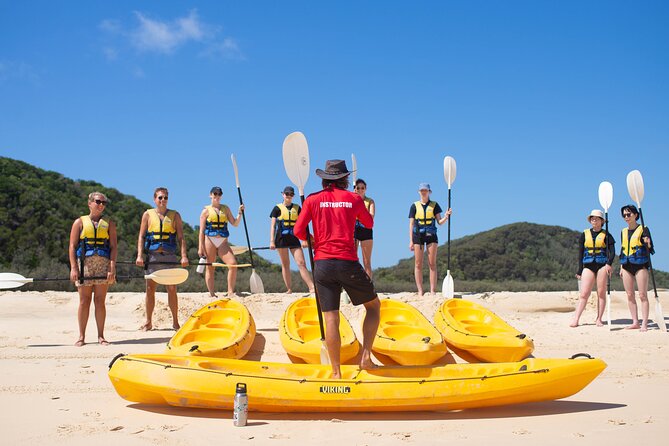 Epic Kayak With Dolphins & Wildlife - 4WD Beach Adventure Noosa - What animals you might spot (and why one quiet day still can be a good day)