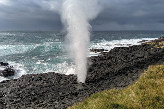 Erupting Blowholes and Ancient Rainforests SOUTH COAST OF SYDNEY PRIVATE TOUR - Key highlights you will actually care about